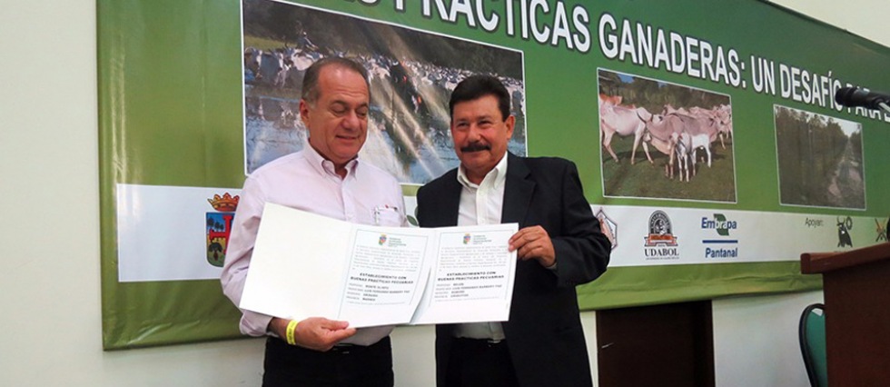 galeria de fotos