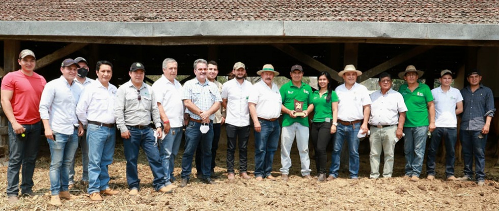 galeria de fotos
