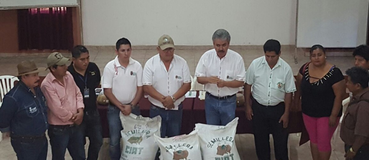 Gobernación cumple con semillas a los productores de arroz en Yapacaní
