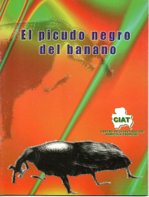 El picudo negro del banano