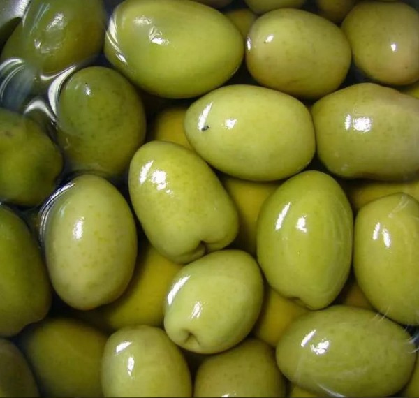 Semilla de Aceituna Dulce     