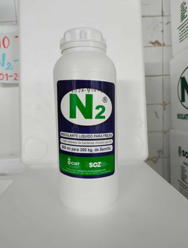 Inoculantes N2 para frejol