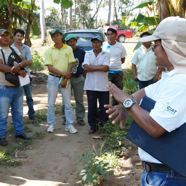 Talleres de capacitacion