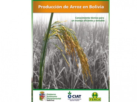 Producción de arroz en Bolivia