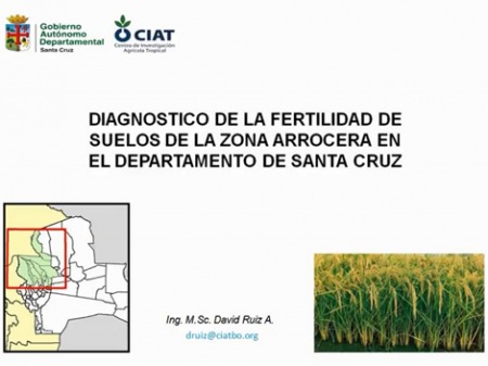 Diagnóstico de la fertilidad de suelos en la zona arrocerra del departamento de Santa Cruz