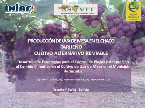 Desarrollo de estrategías para el control de de plagas y adaptación al cambio climático en el cultivo de uva de mesa en el municipio de Yacuiba 