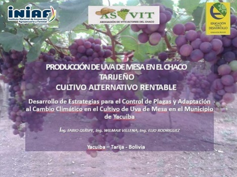 Desarrollo de estrategías para el control de de plagas y adaptación al cambio climático en el cultivo de uva de mesa en el municipio de Yacuiba Desarrollo de estrategías para el control de de plagas y adaptación al cambio climático en el cultivo de uva de mesa en el municipio de Yacuiba