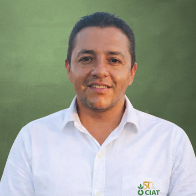 ING. YEISON ROJAS PEÑA - INVESTIGADOR TRIGO